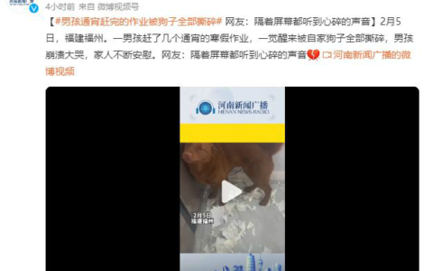 男孩通宵赶完作业被狗子撕碎 网友：把狗子带给老师处理