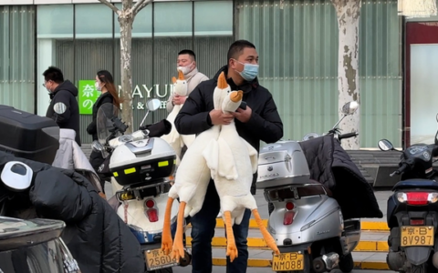 北京多个地铁口有人扫码送大鹅 不少人稀里糊涂开通账户