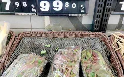 每斤138元的“春芽刺客”来了？种植户：今年产量少导致价格略贵