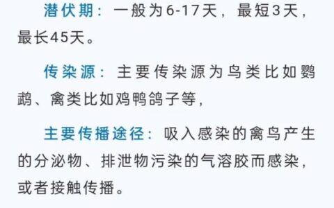 广东一病例高烧不退潜伏45天 罪魁祸首竟是鹦鹉