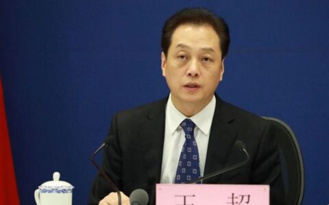 全国人大新任大会发言人王超亮相，曾是最年轻的外交部副部长