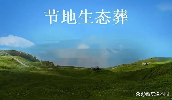 自动草稿