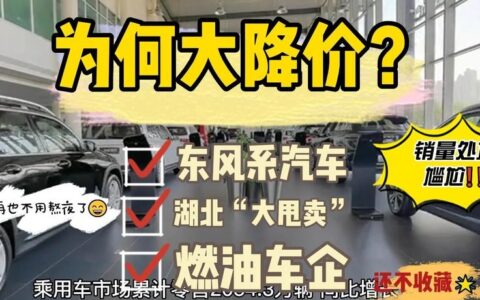 东风系“杀价”引蝴蝶效应 暴力促销引汽车市场紊乱