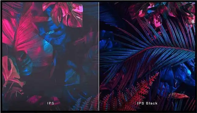 IPS 家族再填新势力 IPS BLACK 到底是什么？