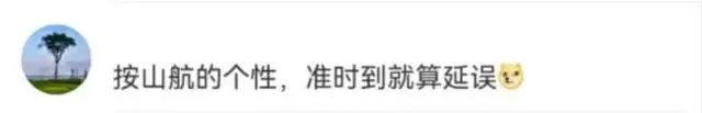 “麻烦机长开快点”后提前到达！山航回应