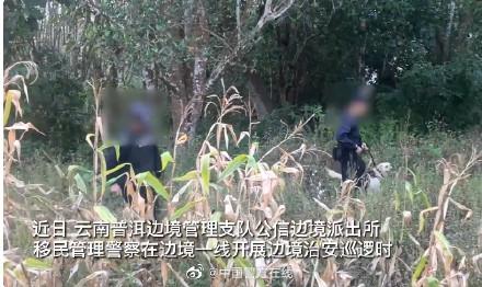 警犬搜毒超12公斤被奖励鸡腿花环，敬佩！