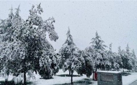 河南三月飞雪 突降大雪竟与人工增雨有关