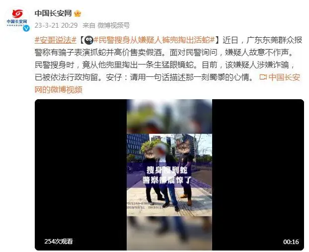 自动草稿