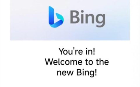 搜索引擎市场迎巨变？New Bing 页面访问量增幅超谷歌