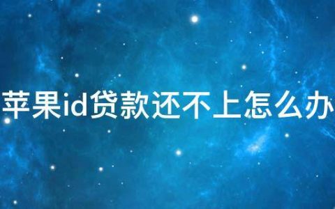 苹果id贷（当下苹果id贷一般下多少钱）