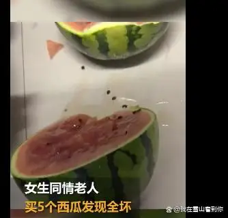 女生同情老人买5西瓜切开发现全坏，网友：不要轻易相信可怜之人