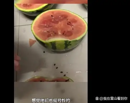 女生同情老人买5西瓜切开发现全坏，网友：不要轻易相信可怜之人