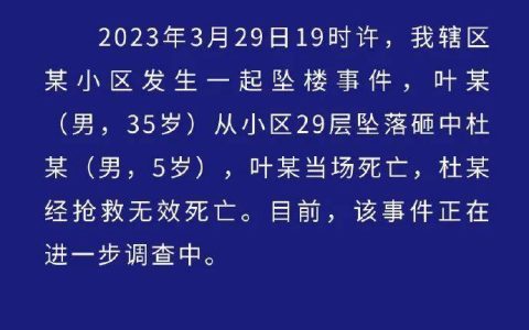 男子29楼坠落砸死5岁男童，警方通报：正在进一步调查中