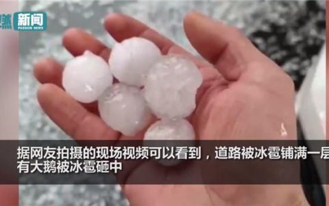 湖南多地下冰雹 大鹅暴雨中被砸：道路被冰雹铺满一层