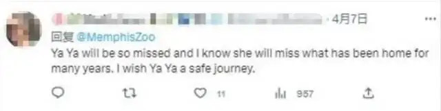 旅美大熊猫“丫丫”正式移交中方! 旅美大熊猫“丫丫”正式移交中方!