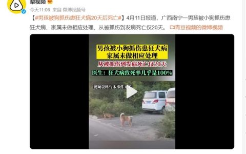 男孩被狗抓伤患狂犬病20天后死亡 医生：狂犬病致死率几乎100%