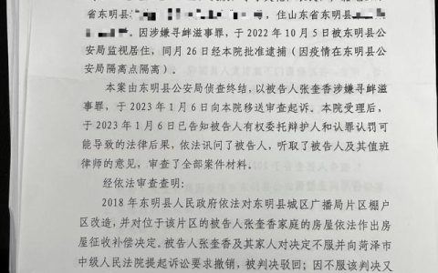 山东农妇7次网上投诉被控寻衅滋事｜律师：网络信访乃公民合法权益