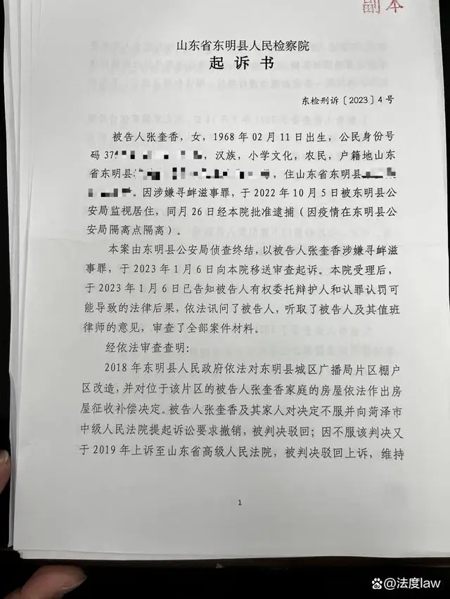 山东农妇7次网上投诉被控寻衅滋事｜律师：网络信访乃公民合法权益