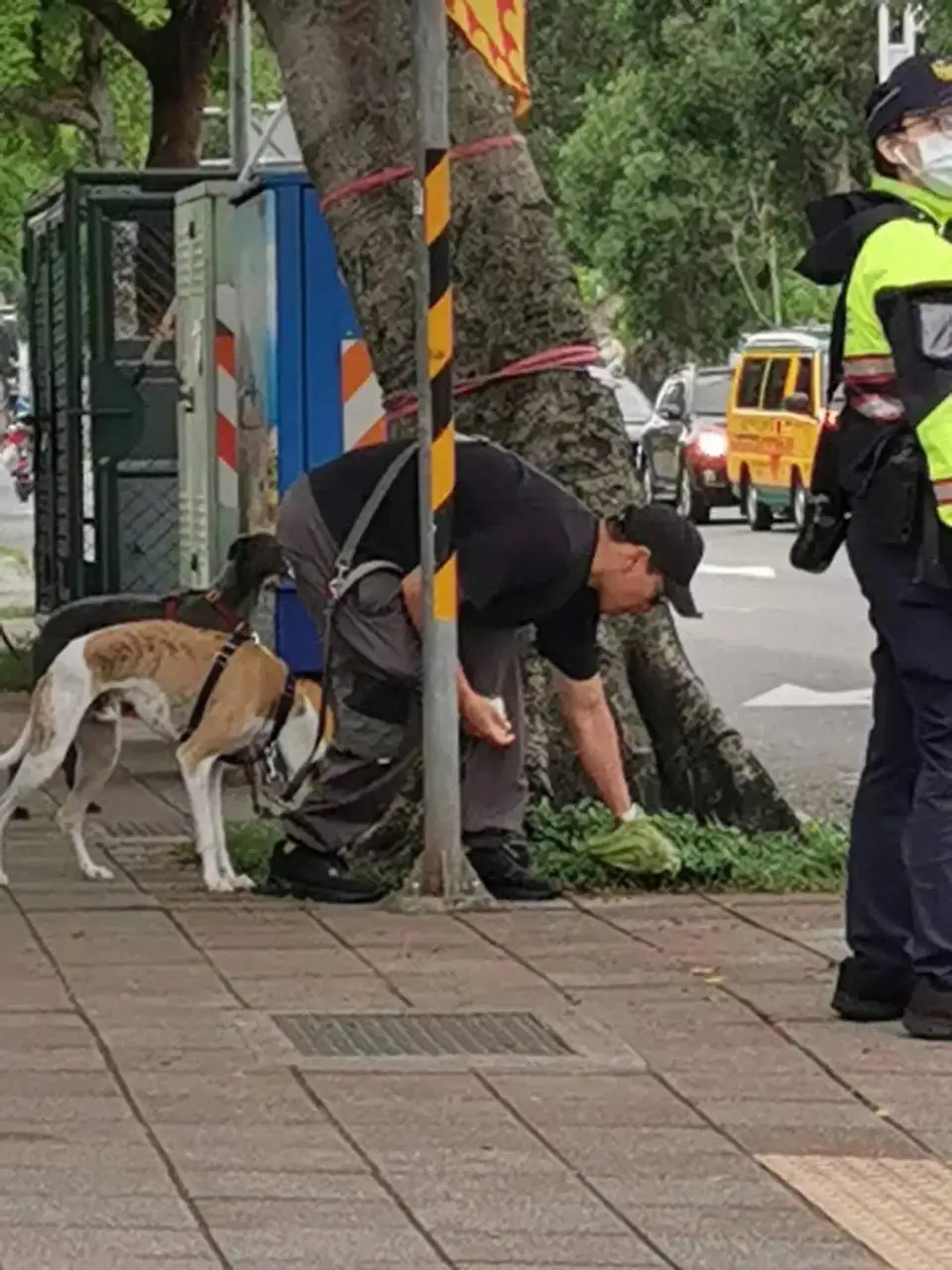自动草稿