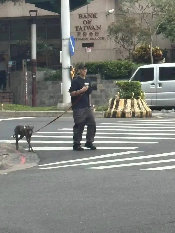 自动草稿