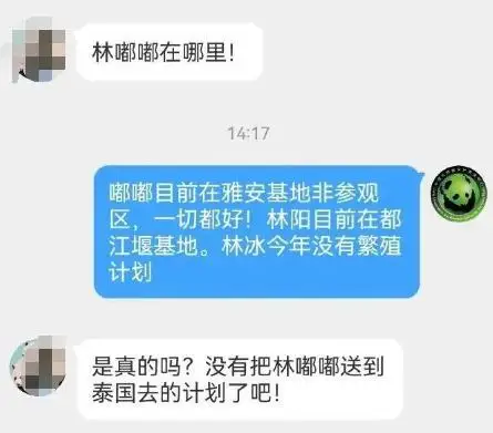 大熊猫“小丫”因尿毒症去世？官方回应
