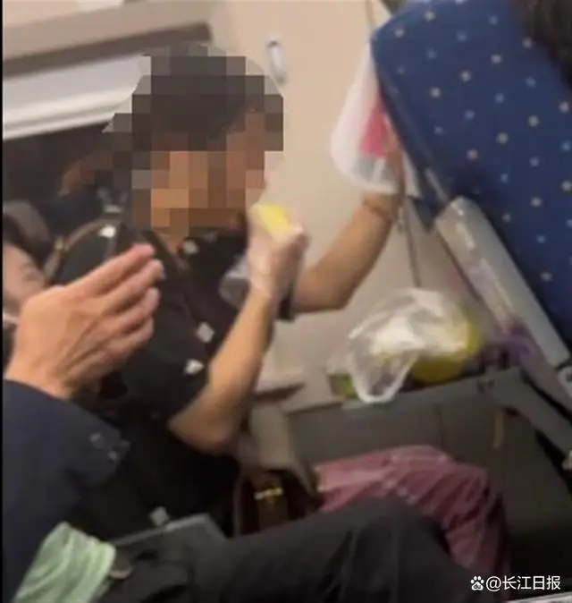 乘客吐槽女子在高铁车厢内吃榴莲,12306:密封好的榴莲可以带上高铁,但不建议食用 乘客吐槽女子在高铁车厢内吃榴莲,12306:密封好的榴莲可以带上高铁,但不建议食用