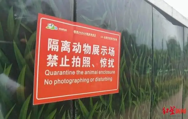 警方破获大案解救63只小熊猫,动物园接手后20多只陆续死亡 警方破获大案解救63只小熊猫,动物园接手后20多只陆续死亡