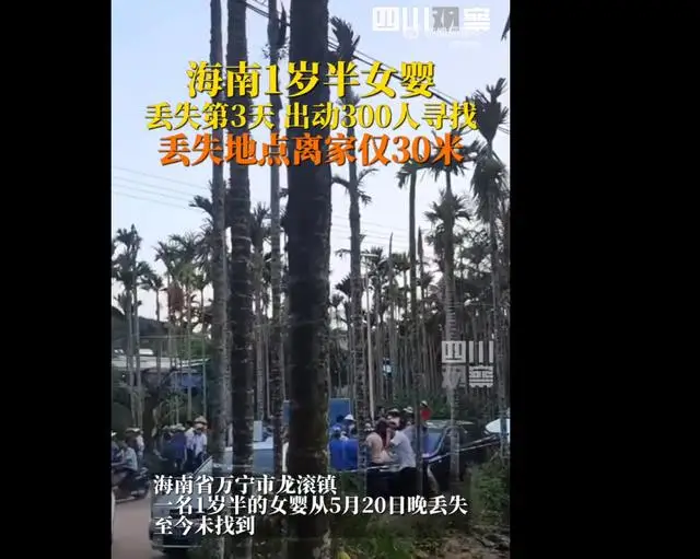 自动草稿 自动草稿