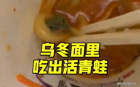 乌冬面里吃出活青蛙，日本连锁店道歉：这是一场恶作剧还是一次惊魂记？