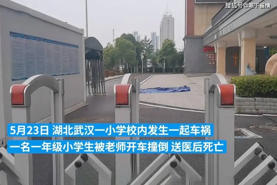小学生在校内被老师开车撞倒身亡，疑似二次碾压，校方：正在配合调查