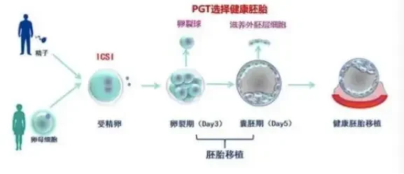 结婚6年没孩子，查出丈夫非男性