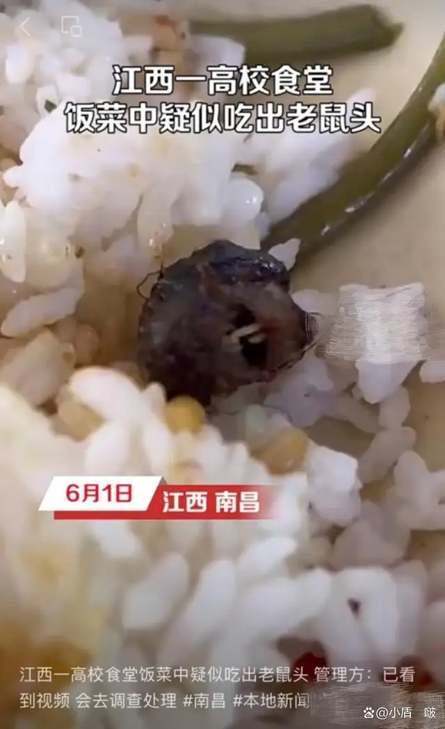联合调查组最终的结论是鼠头,那么鼠头如何变成了鸭脖 联合调查组最终的结论是鼠头,那么鼠头如何变成了鸭脖