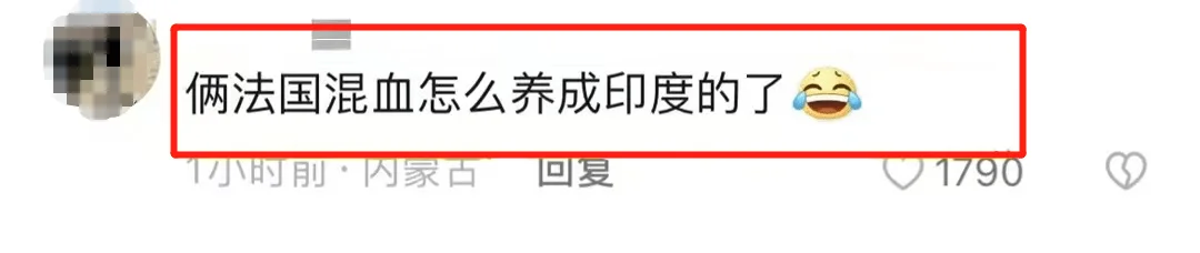 刘烨小1岁娇妻老到认不出！头发花白皱纹明显，样子似邋遢大婶