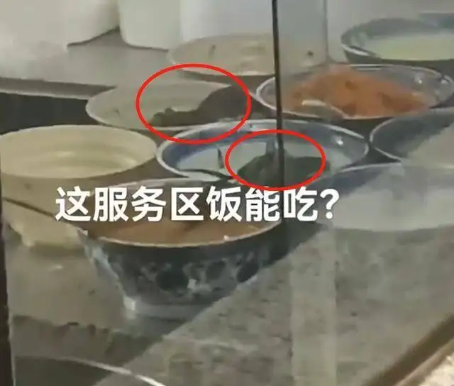 河南一服务区菜盆中惊现2只老鼠，负责人回应：是外包餐饮，最近周边收粮食，可能老鼠比较多，将整改