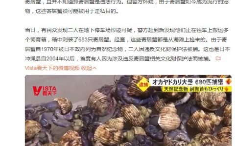 中国夫妇日本旅游抓683只寄居蟹被捕 自称想拿来吃