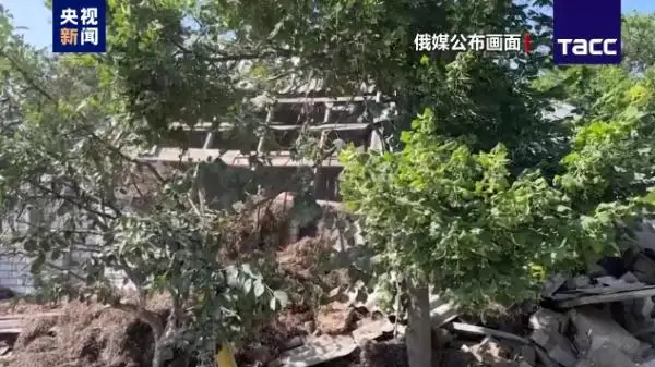 瓦格纳撤军，停止在俄境内活动；俄方将撤销对普里戈任的刑事立案