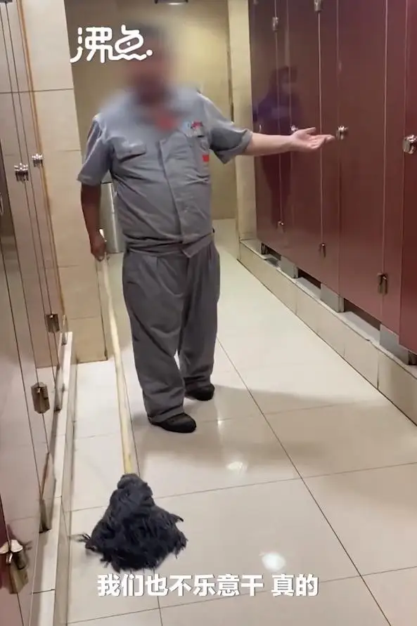 男保洁进女厕所,最先愤怒的是男同胞们? 男保洁进女厕所,最先愤怒的是男同胞们?