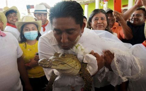 墨西哥一位市长连续两年与鳄鱼结婚，还在婚礼上称：我们彼此相爱