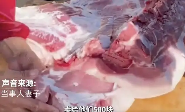 农民杀自家猪卖了700元,收到5万元罚单,结局万万没想到 农民杀自家猪卖了700元,收到5万元罚单,结局万万没想到