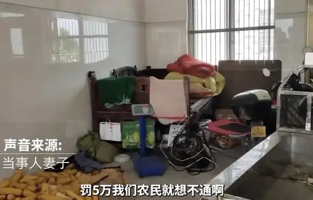 农民杀自家猪卖了700元,收到5万元罚单,结局万万没想到 农民杀自家猪卖了700元,收到5万元罚单,结局万万没想到
