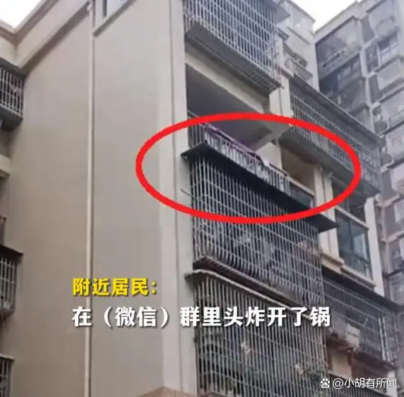 居民在5楼阳台养7头牛被投诉 居民在5楼阳台养7头牛被投诉