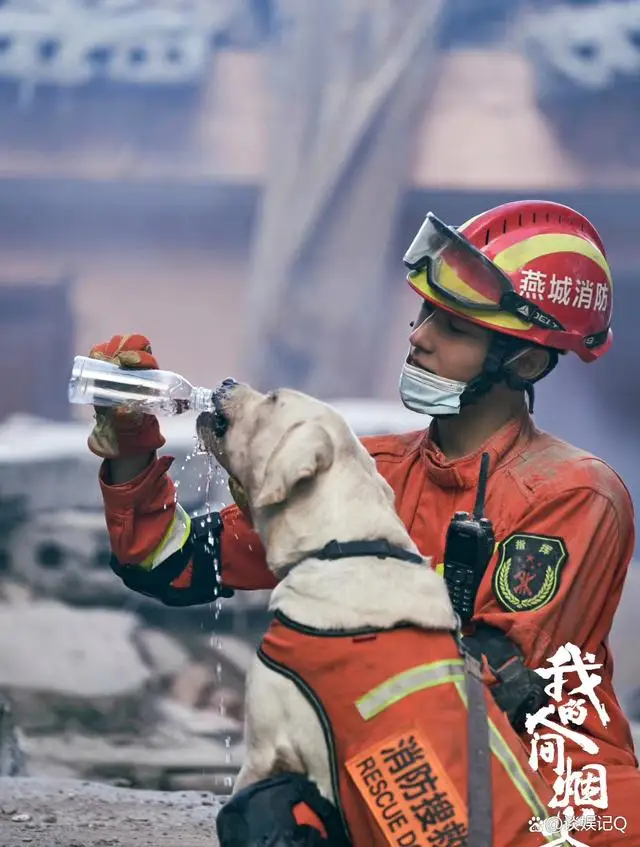 杨洋空降超话和粉丝互动,并一口气发了八条动态,这也太多了吧! 杨洋空降超话和粉丝互动,并一口气发了八条动态,这也太多了吧!
