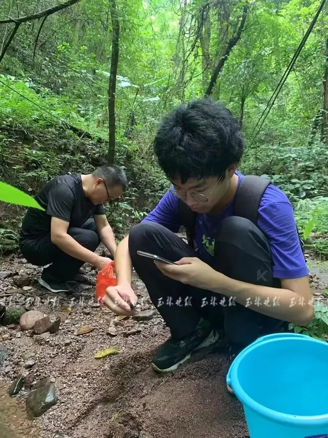 广西一17岁少年发现新物种:卷肢华石蟹,广西淡水蟹多样性成全国第二 广西一17岁少年发现新物种:卷肢华石蟹,广西淡水蟹多样性成全国第二