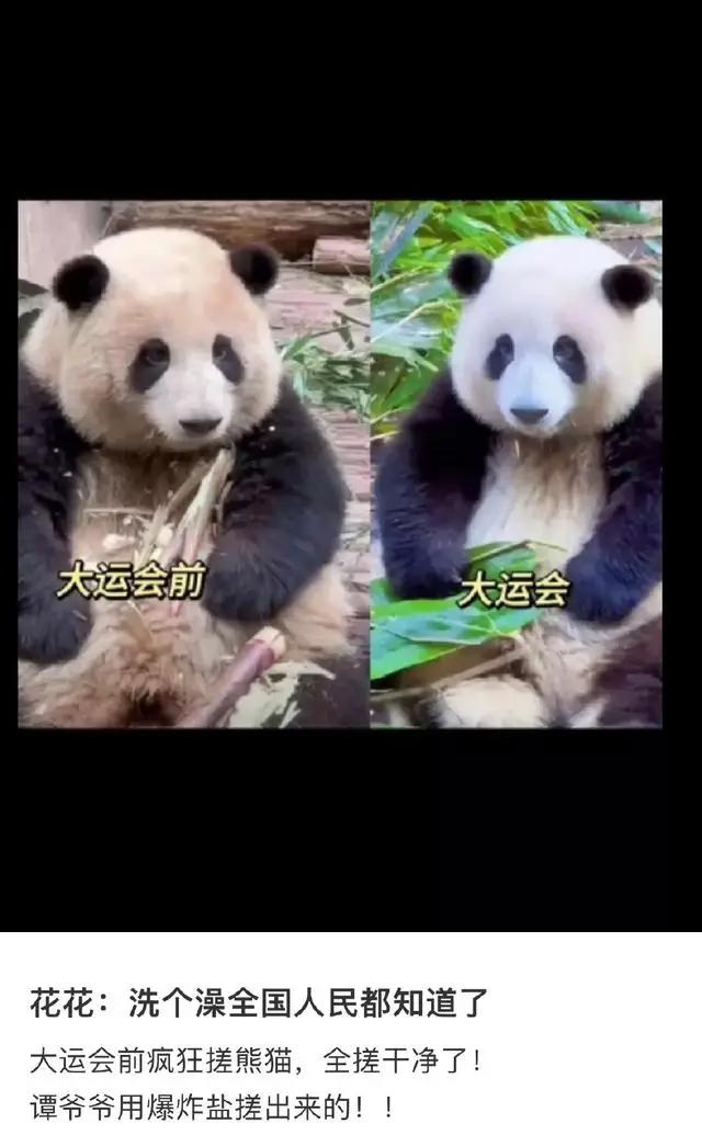 白到发光!花花洗澡全国人民都知道了,网友调侃:判若两“花” 白到发光!花花洗澡全国人民都知道了,网友调侃:判若两“花”