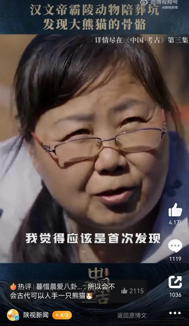 2000多年前汉文帝用国宝大熊猫陪葬？西安霸陵殉葬坑出土完整大熊猫骨骼