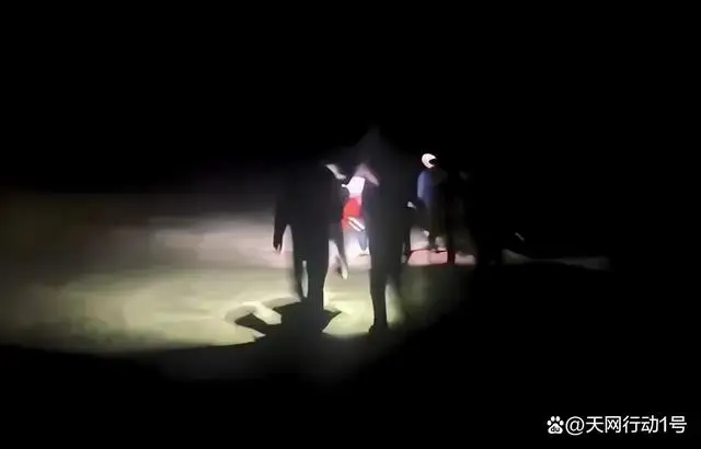自动草稿
