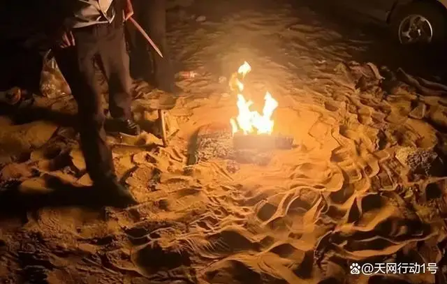 自动草稿