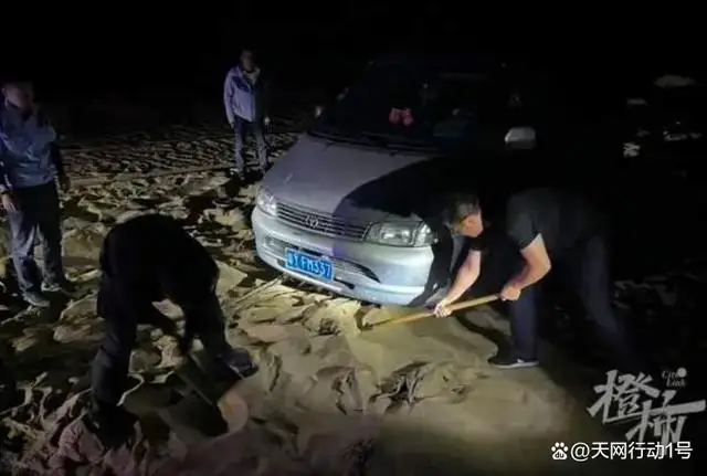 自动草稿