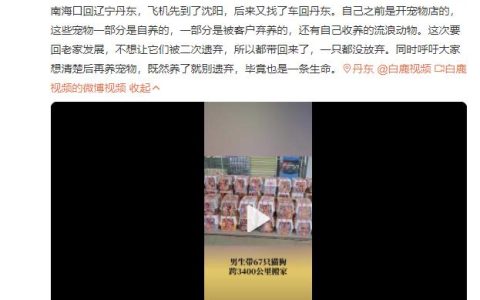 男生带67只猫狗跨3400公里搬家 网友：这真的很帅