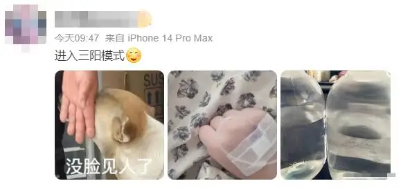 自动草稿